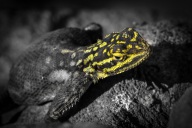 blog_namibia_20141105_093159 blog_namibia_20141105_093159