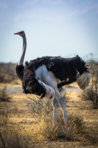 blog_namibia_20141105_172627 blog_namibia_20141105_172627