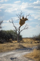 blog_namibia_20141105_173213 blog_namibia_20141105_173213