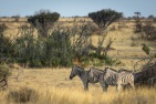 blog_namibia_20141105_174014 blog_namibia_20141105_174014