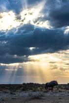 blog_namibia_20141105_181741 blog_namibia_20141105_181741