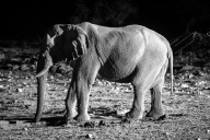 blog_namibia_20141105_221950 blog_namibia_20141105_221950