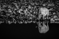 blog_namibia_20141105_222811 blog_namibia_20141105_222811