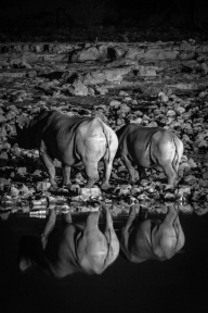 blog_namibia_20141105_224651 blog_namibia_20141105_224651