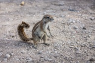 blog_namibia_20141106_075442 blog_namibia_20141106_075442