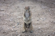 blog_namibia_20141106_075625 blog_namibia_20141106_075625