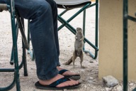 blog_namibia_20141106_082216 blog_namibia_20141106_082216