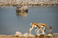blog_namibia_20141106_094254 blog_namibia_20141106_094254