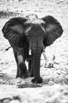 blog_namibia_20141106_111509 blog_namibia_20141106_111509