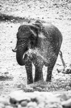 blog_namibia_20141106_111538 blog_namibia_20141106_111538