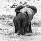 blog_namibia_20141106_112107 blog_namibia_20141106_112107