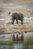 blog_namibia_20141106_115733 blog_namibia_20141106_115733