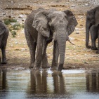 blog_namibia_20141106_115750 blog_namibia_20141106_115750