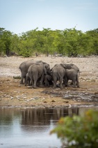 blog_namibia_20141106_121651 blog_namibia_20141106_121651