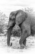 blog_namibia_20141106_122454 blog_namibia_20141106_122454