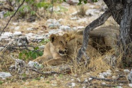 blog_namibia_20141106_122708 blog_namibia_20141106_122708