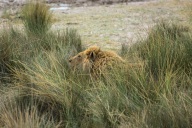 blog_namibia_20141106_132525 blog_namibia_20141106_132525