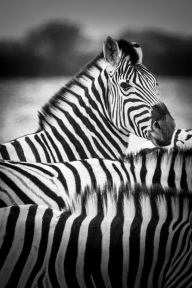 blog_namibia_20141106_105430 blog_namibia_20141106_105430