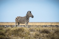 blog_namibia_20141106_131625 blog_namibia_20141106_131625