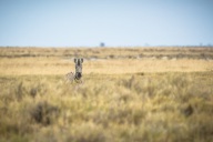 blog_namibia_20141106_131913 blog_namibia_20141106_131913