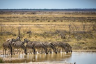 blog_namibia_20141106_133054 blog_namibia_20141106_133054