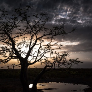 blog_namibia_20141106_183809 blog_namibia_20141106_183809