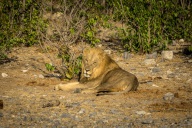 blog_namibia_20141107_071134 blog_namibia_20141107_071134