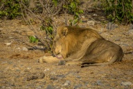 blog_namibia_20141107_071352 blog_namibia_20141107_071352