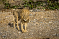 blog_namibia_20141107_071503 blog_namibia_20141107_071503