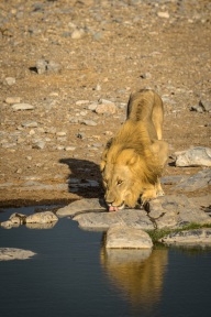 blog_namibia_20141107_071701 blog_namibia_20141107_071701