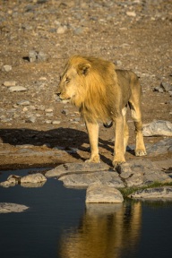 blog_namibia_20141107_071715 blog_namibia_20141107_071715