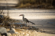 blog_namibia_20141107_072419 blog_namibia_20141107_072419