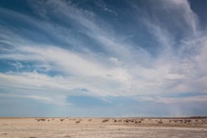 blog_namibia_20141107_093725 blog_namibia_20141107_093725