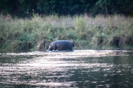 blog_namibia_20141107_185215 blog_namibia_20141107_185215
