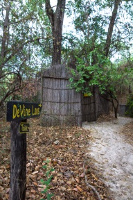 blog_namibia_20141108_064508 blog_namibia_20141108_064508