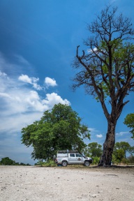 blog_namibia_20141108_113738 blog_namibia_20141108_113738