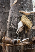 blog_namibia_20141108_140207 blog_namibia_20141108_140207