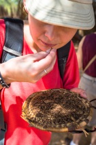 blog_namibia_20141108_145612 blog_namibia_20141108_145612