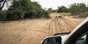 blog_namibia_20141109_152023 blog_namibia_20141109_152023