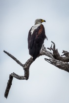 blog_namibia_20141109_130013 blog_namibia_20141109_130013