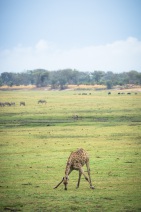 blog_namibia_20141109_130922 blog_namibia_20141109_130922