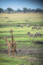 blog_namibia_20141109_131018 blog_namibia_20141109_131018