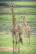 blog_namibia_20141109_131220 blog_namibia_20141109_131220