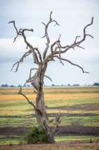 blog_namibia_20141109_134600 blog_namibia_20141109_134600