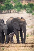 blog_namibia_20141109_153558 blog_namibia_20141109_153558