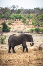 blog_namibia_20141109_153734 blog_namibia_20141109_153734