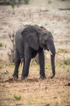 blog_namibia_20141109_153800 blog_namibia_20141109_153800