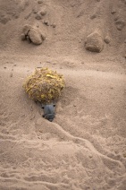 blog_namibia_20141109_161514 blog_namibia_20141109_161514