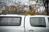 blog_namibia_20141110_161629 blog_namibia_20141110_161629