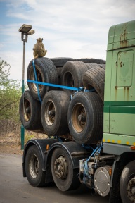 blog_namibia_20141110_161640 blog_namibia_20141110_161640